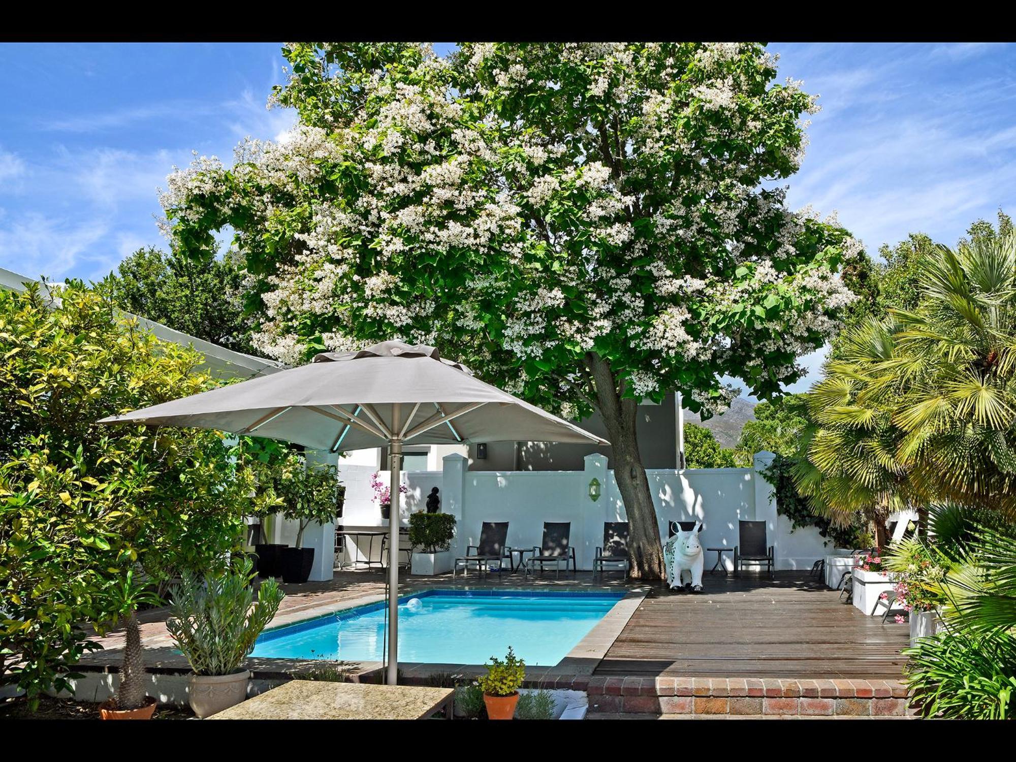 Ashbourne Boutique Guest House Franschhoek Ngoại thất bức ảnh